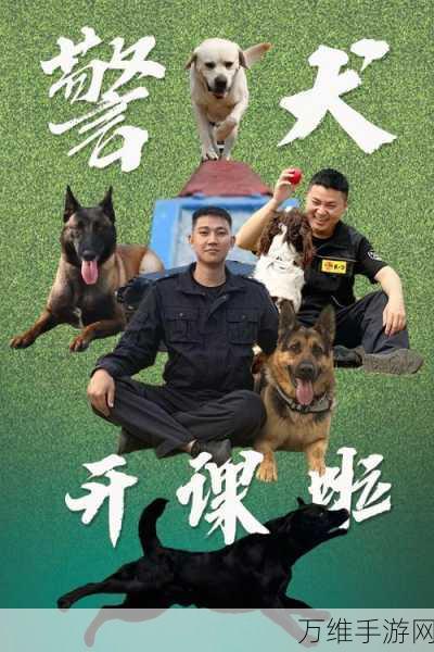 刺激无限！警犬罪犯追击，真实模拟的热血追捕之旅