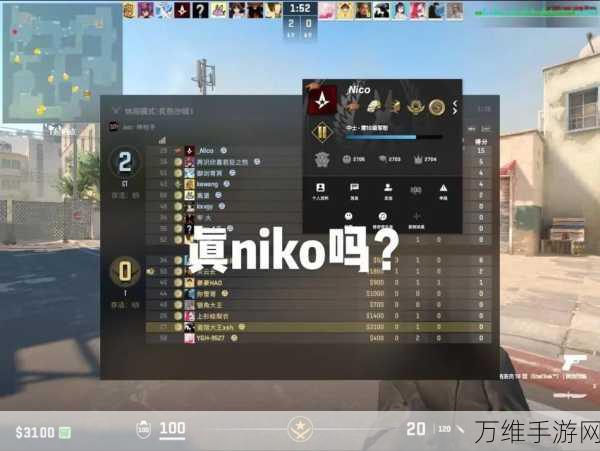 CSGO传奇选手Niko的准星秘籍，揭秘职业级精准射击的奥秘