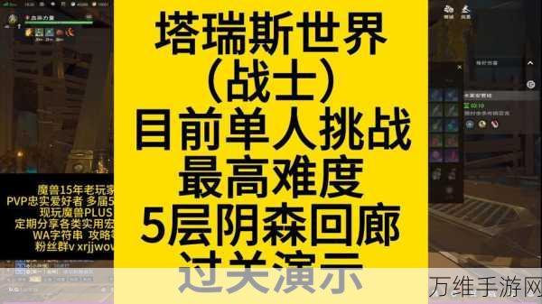 塔瑞斯世界全揭秘，深度玩法内容与独特体验等你来探索！