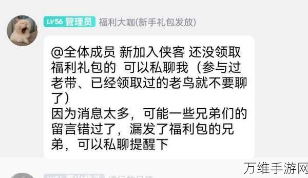 侠客回忆录2钱币深度攻略，高效获取与智慧运用秘籍