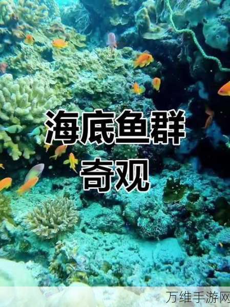 畅玩新金蟾捕鱼手机版，潜入神秘海底世界