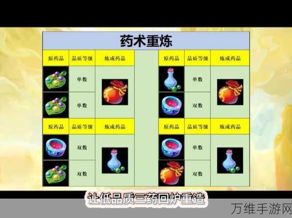 梦幻药剂 2 官方新版来袭，经营模拟乐趣无限