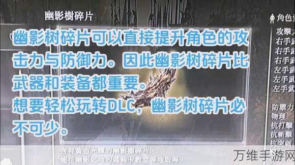 艾尔登法环DLC发布时间大揭秘，玩家翘首以盼的冒险新篇章何时开启？