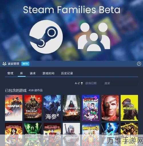 Steam家庭共享功能全解析，轻松共享游戏乐趣