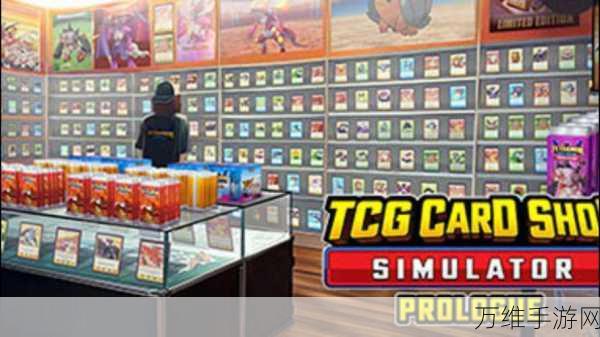 TCG 卡牌超市，无限金币版的精彩经营之旅