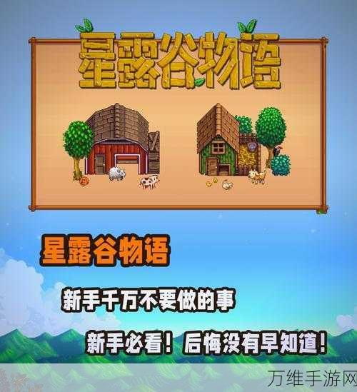 星露谷物语，揭秘空置小屋的隐藏功能与用途