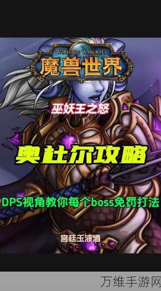 魔兽世界，巫妖王之怒怀旧服震撼归来，开服时间全揭秘！