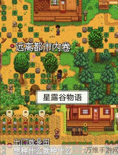 畅玩派对世界无限金币版，像素方块经营之旅