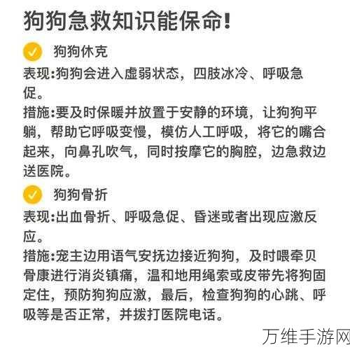 解救小狗，趣味横生的动物救援之旅 最新下载指南