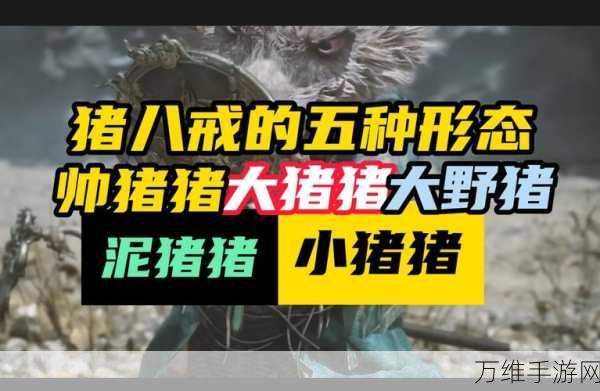 猪八戒逍遥九重天，技能全解析与实战应用