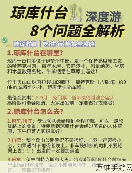 手游攻略大揭秘，离谱经历老板娘关卡必胜技巧全解析