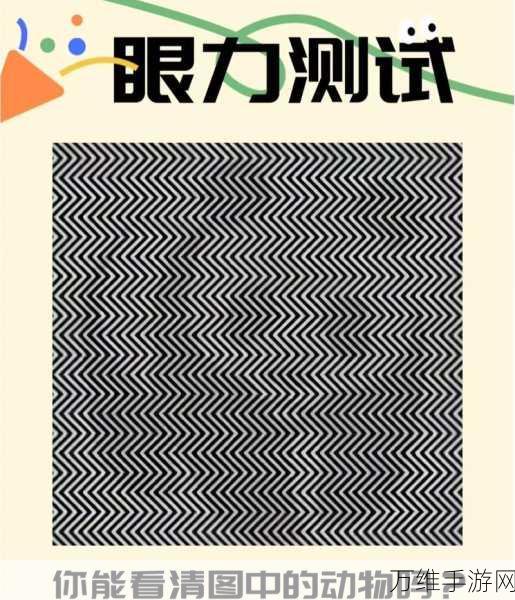 挑战极限！视力游戏最新版，考验你的观察神功