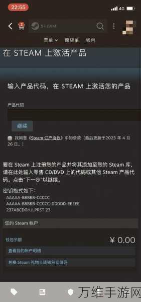 风灵月影修改器使用风险揭秘，Steam账号安全何去何从？