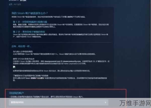 风灵月影修改器使用风险揭秘，Steam账号安全何去何从？
