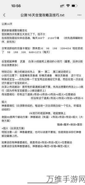 一剑江湖宠物及技能搭配攻略，打造你的专属战斗伙伴！