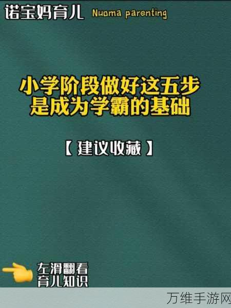 这城有良田课业评分系统全解析，如何成为学霸城主？