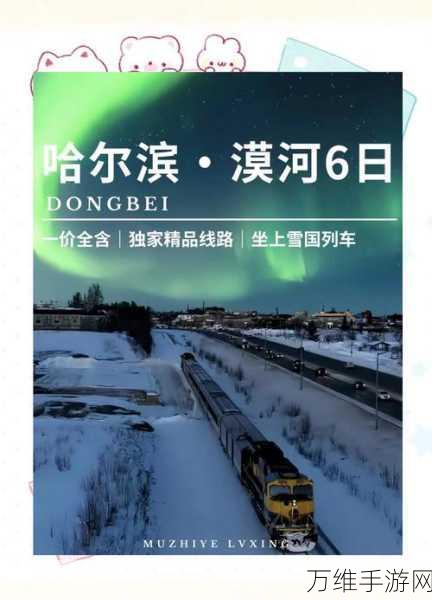 就我眼神好挑战雪国列车，通关攻略与旅途环境改善秘籍