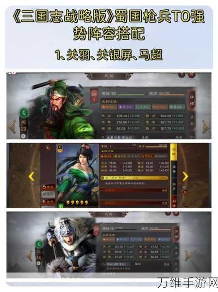 三国志战略版顶尖战法揭秘，打造无敌阵容的必备策略！