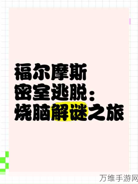 营救那个家伙，烧脑解谜，畅享休闲益智之旅