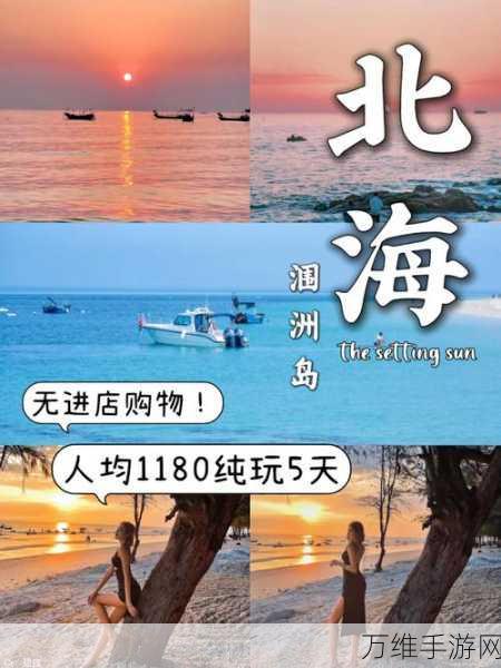 海岛投资人安卓版，风靡全网的模拟经营之旅