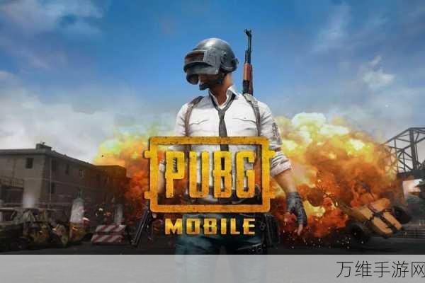 PUBG 轻体直装版，畅爽射击竞技之旅