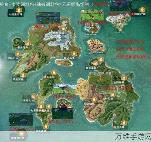 探秘创造与魔法2022，云斑鹦鹉栖息地全解析