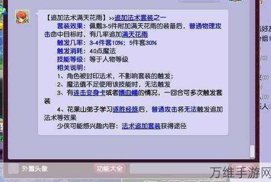 梦幻西游深度解析，灵鹤套装效果全揭秘及实战应用