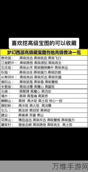 梦幻西游手游深度解析，地煞前排怪物特性全揭秘及实战攻略