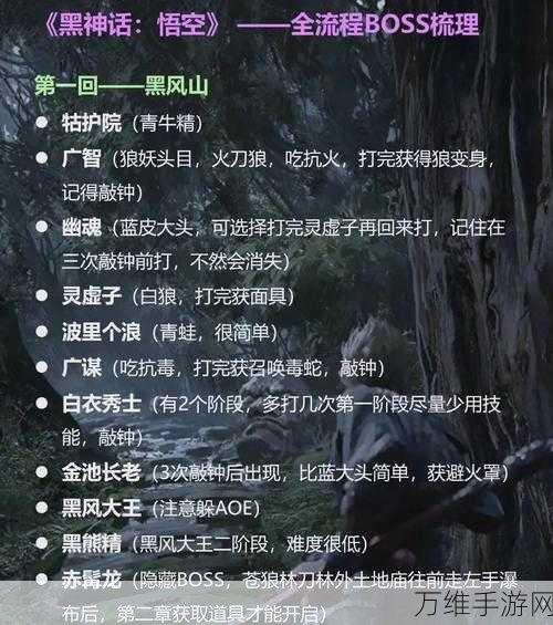 黑神话悟空，仙胞石片获取攻略大揭秘，网友热议高效速通秘籍！