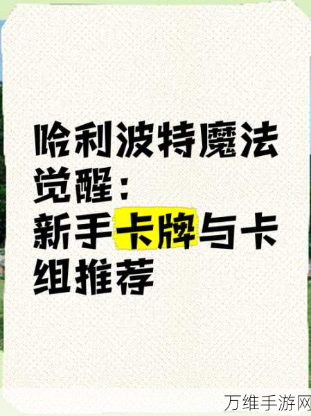 哈利波特:魔法觉醒顶尖策略，斯内普伙伴卡高效卡组搭配指南