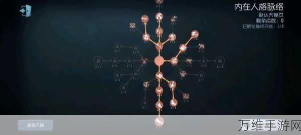 第五人格S牌揭秘，顶尖玩家的荣耀象征与竞技盛宴