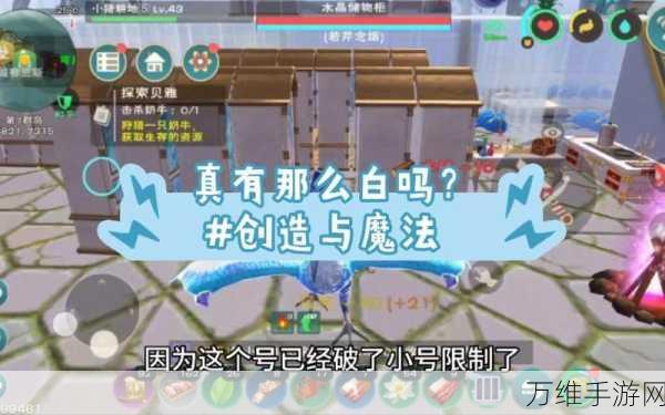 创造与魔法深度攻略，掌握驯服龟的技巧与策略