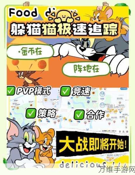 猫和老鼠手游攻略：猫角色必胜策略揭秘，全面获胜技巧汇总指南