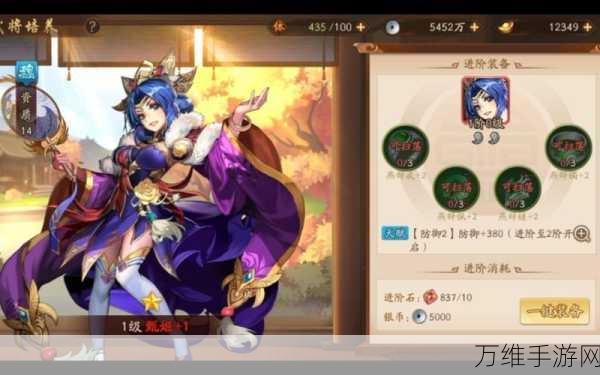 少年三国志2，洛神甄姬神兵甄选与资源优化策略