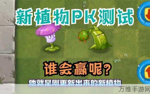 揭秘植物大战僵尸2，谁是最强植物争霸赛冠军？