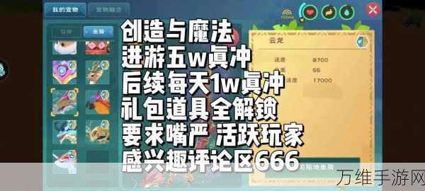 手游新手指南，创造与魔法深度玩法技巧揭秘