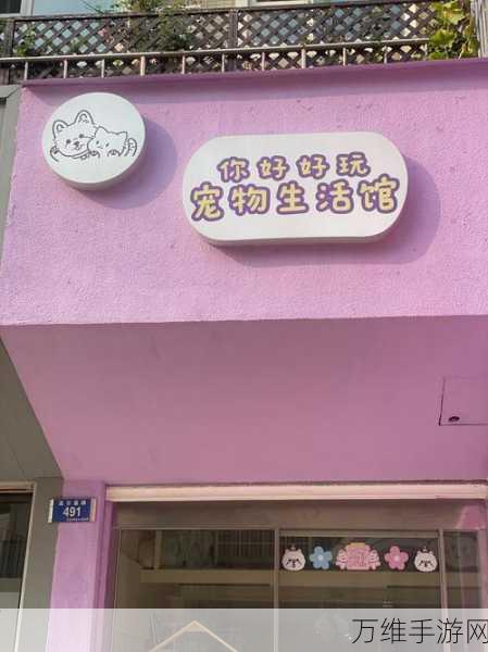 喵喵甜品店免广告最新版，畅享极致模拟经营之旅