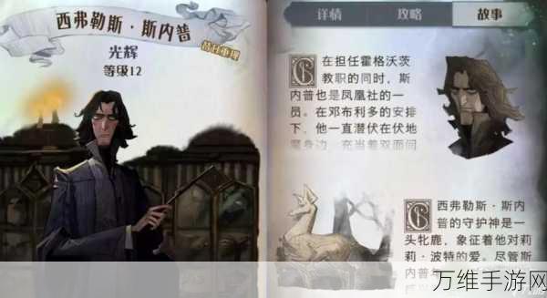 哈利波特魔法觉醒，斯内普回响卡组夺冠秘籍全揭秘