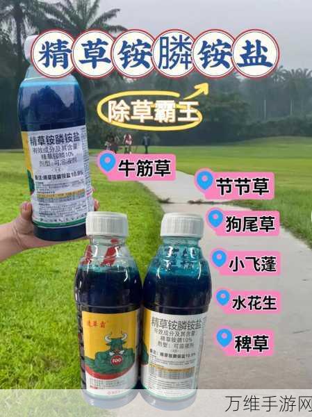 除草大亨，魔性休闲，畅爽体验