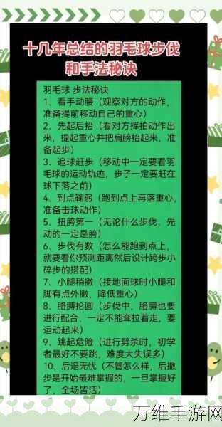 变身羽毛球健将，热血激战与技巧全攻略