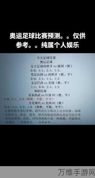 手游资讯，揭秘足球世界杯与奥运足球赛的独特魅力，你更偏爱哪一种？