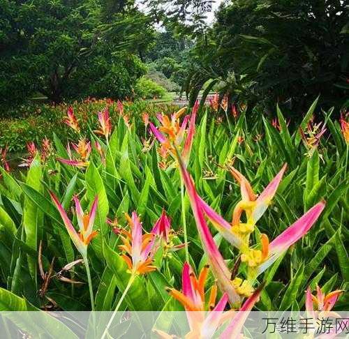 畅玩嘴馋植物，休闲手游的奇妙之旅