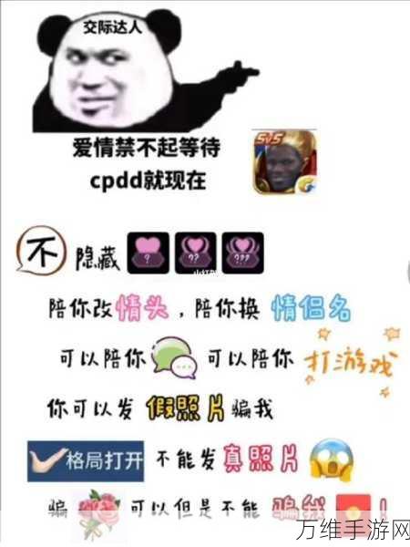 王者荣耀CPDD全解析，寻找游戏情缘的秘籍