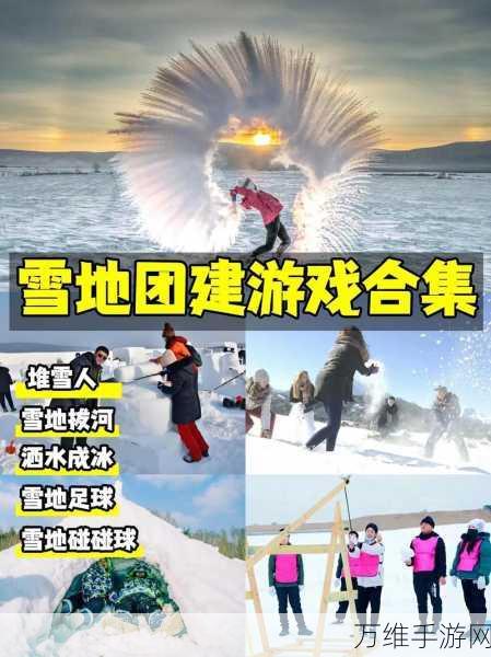 激情四溢！雪地竞赛小游戏，畅享精彩休闲时光