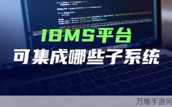 手游创新应用，IBM Maximo资产管理系统赋能城市手游，引领低碳出行新风尚