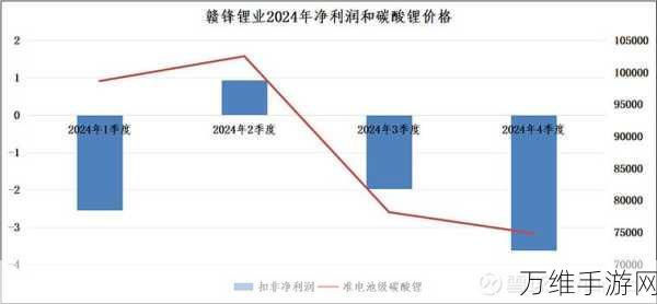 手游界新能源力量，赣锋锂业2024手游产业应用精彩瞬间