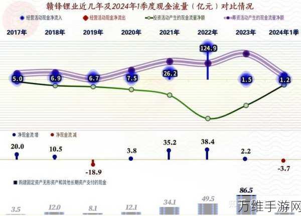 手游界新能源力量，赣锋锂业2024手游产业应用精彩瞬间