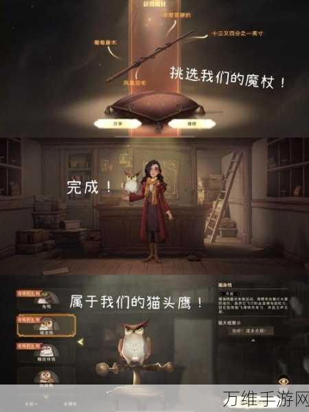 哈利波特魔法觉醒，揭秘魔法通缉令的高效获取攻略