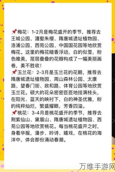 梦幻花园345攻略大揭秘，浪漫玫瑰园牡丹种植挑战，日种345朵秘籍