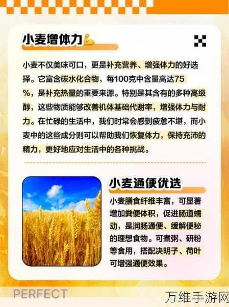 手工星球小麦获取秘籍，高效采集与种植技巧大揭秘